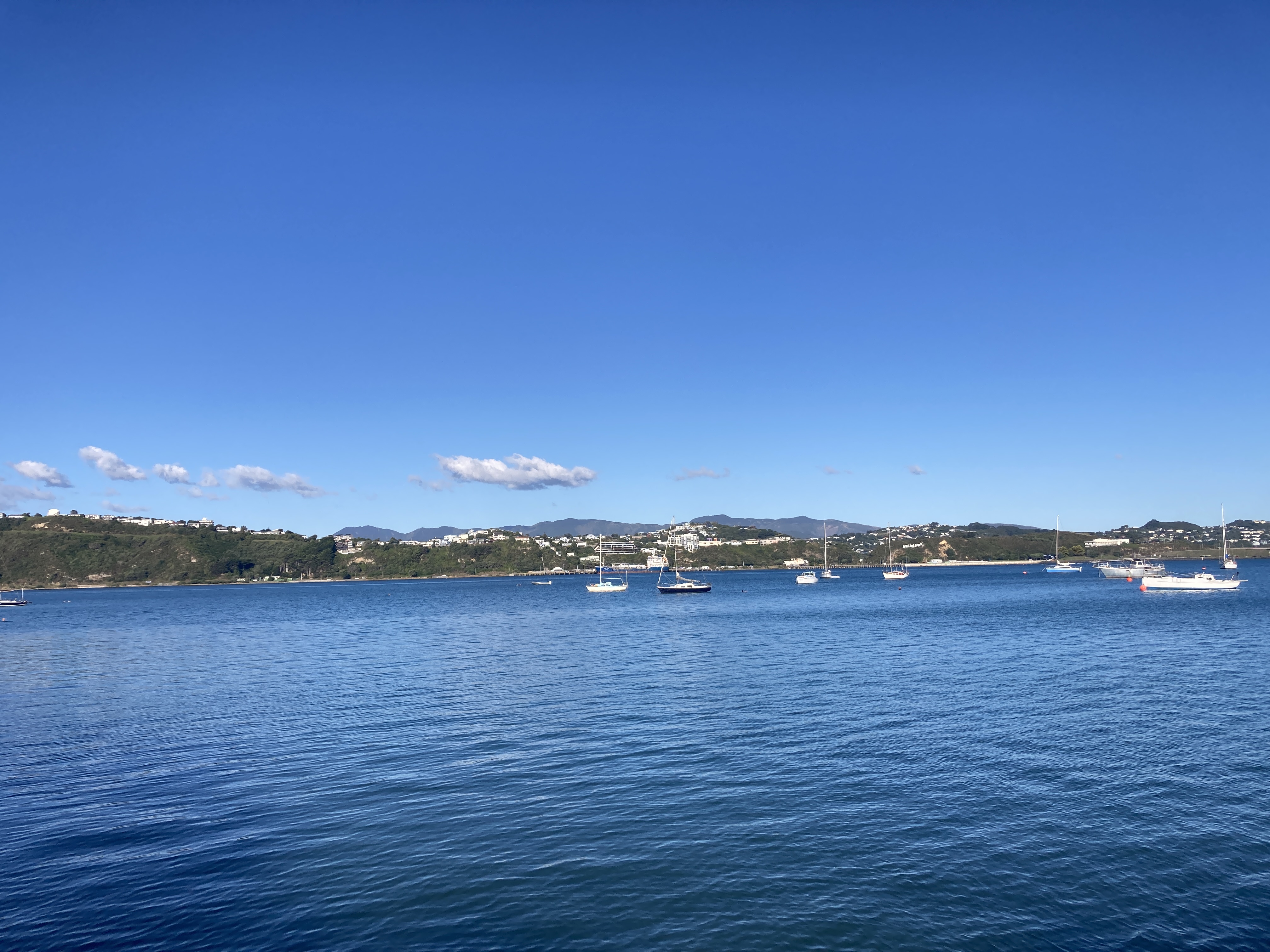 Sailboats on the water.